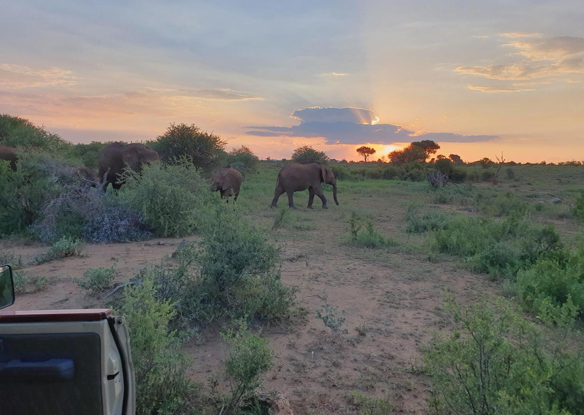 Madikwe River Lodge By Dream Resorts Madikwe Game Reserve Eksteriør billede