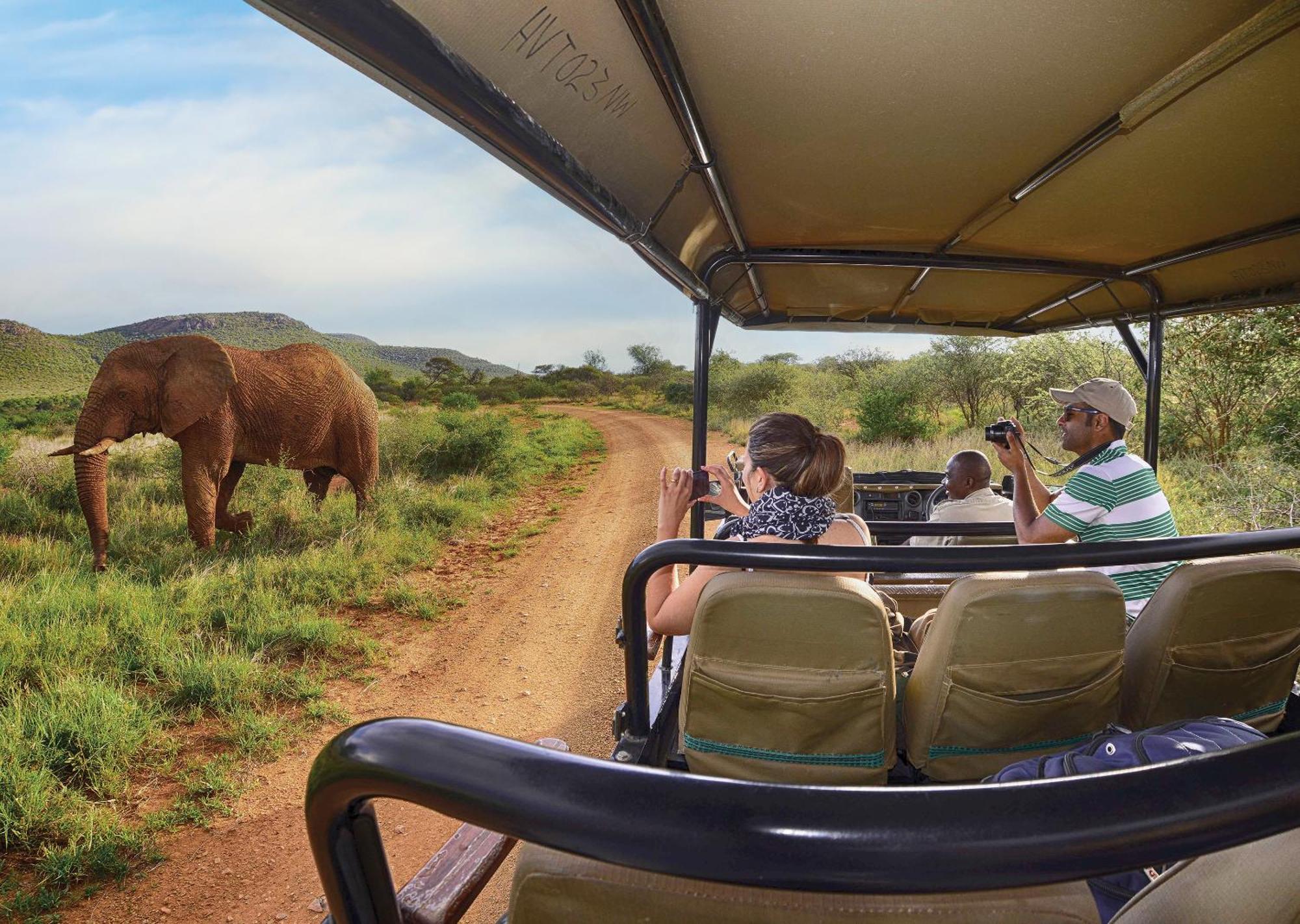Madikwe River Lodge By Dream Resorts Madikwe Game Reserve Eksteriør billede