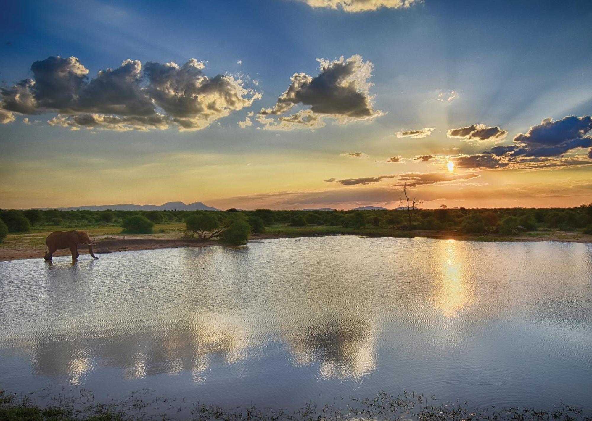 Madikwe River Lodge By Dream Resorts Madikwe Game Reserve Eksteriør billede