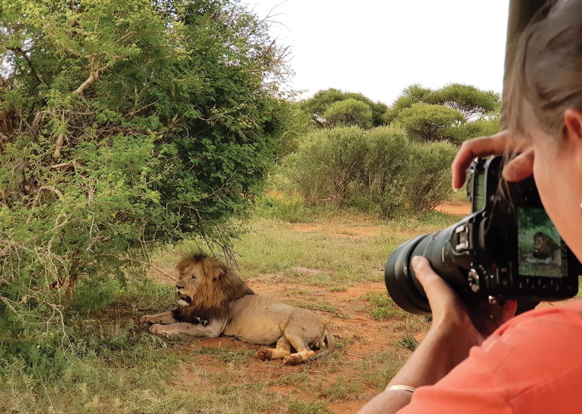 Madikwe River Lodge By Dream Resorts Madikwe Game Reserve Eksteriør billede