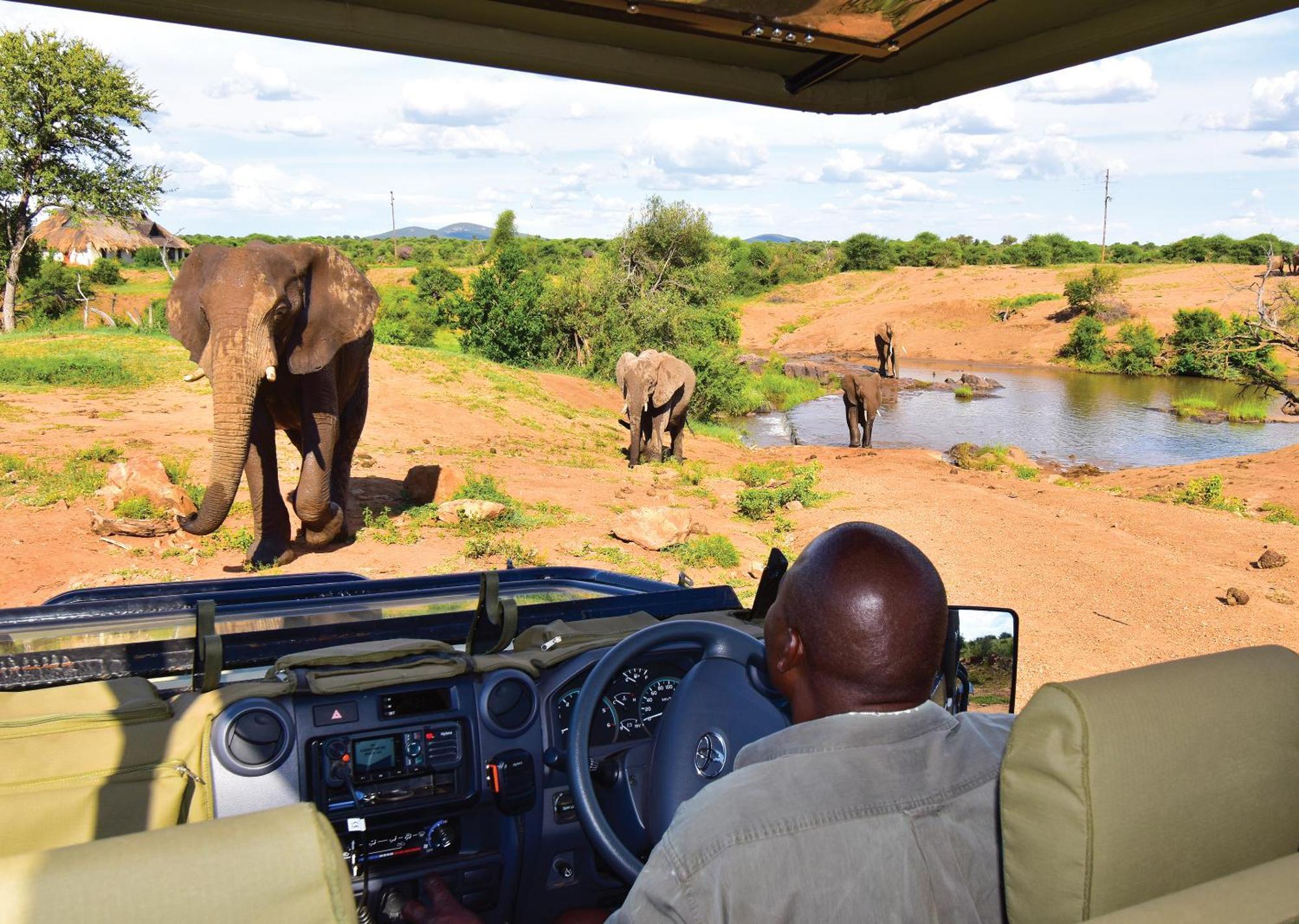 Madikwe River Lodge By Dream Resorts Madikwe Game Reserve Eksteriør billede