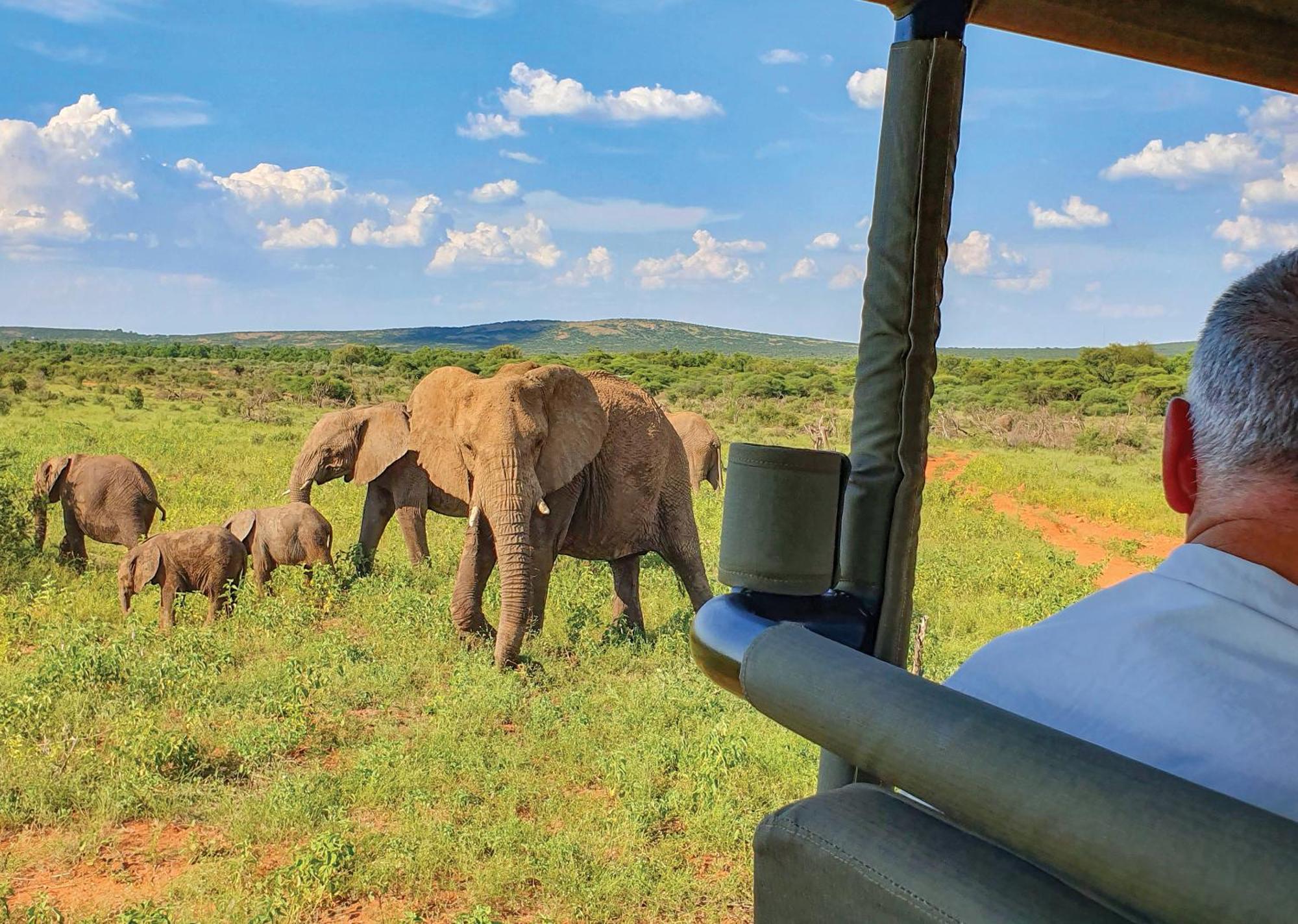 Madikwe River Lodge By Dream Resorts Madikwe Game Reserve Eksteriør billede