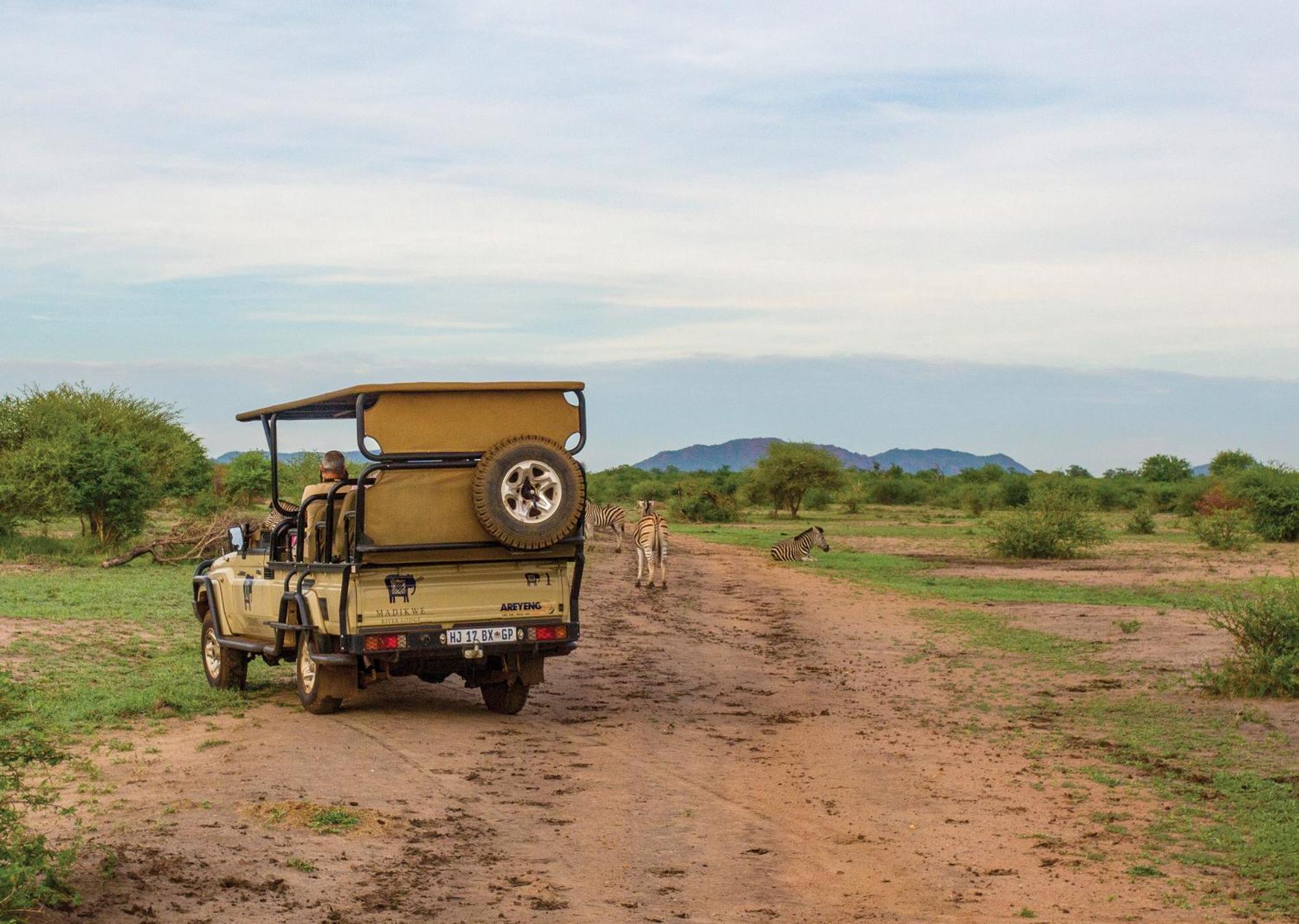 Madikwe River Lodge By Dream Resorts Madikwe Game Reserve Eksteriør billede