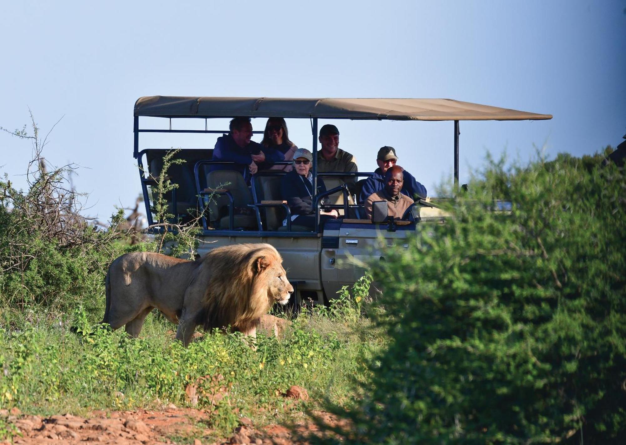 Madikwe River Lodge By Dream Resorts Madikwe Game Reserve Eksteriør billede