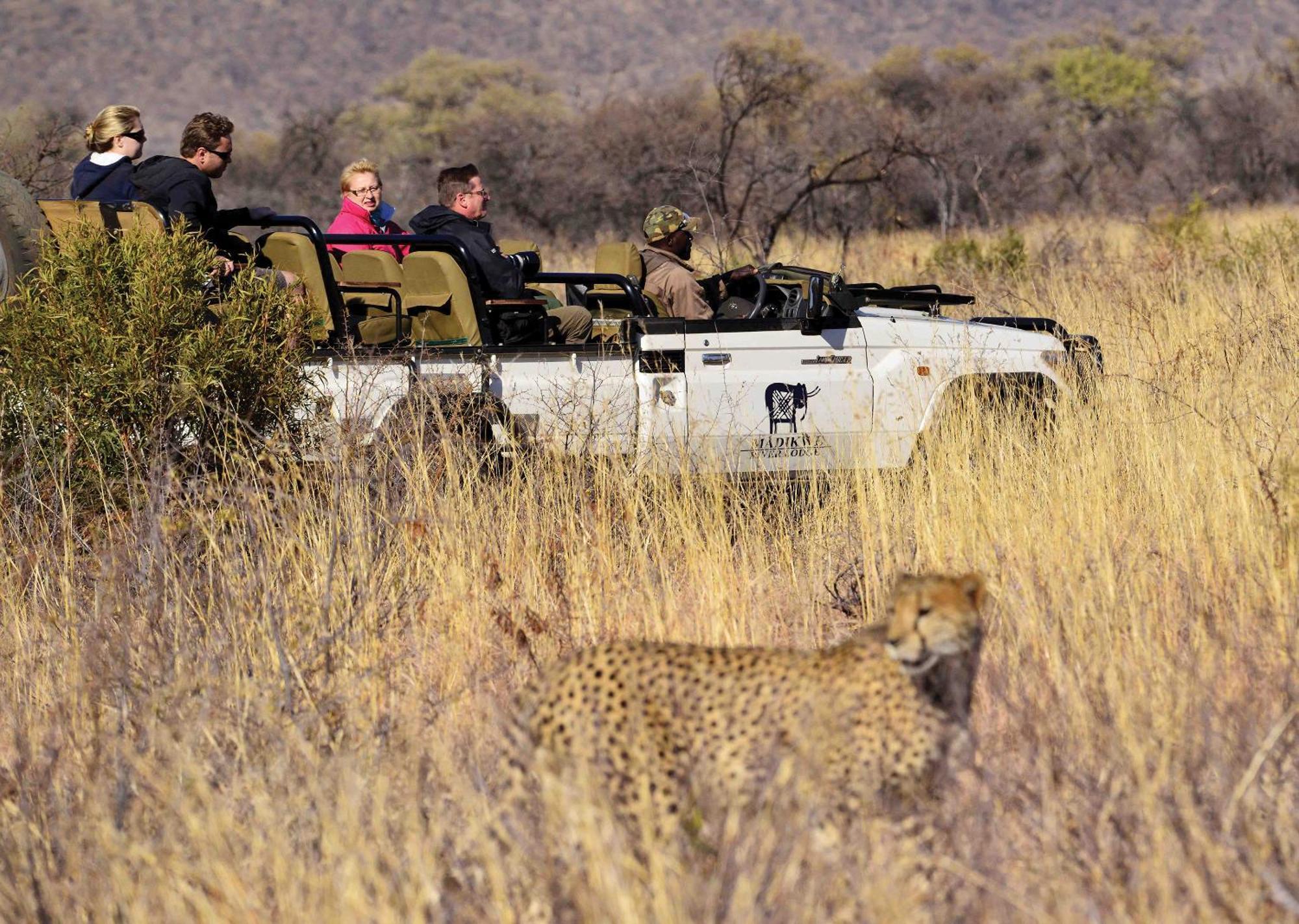 Madikwe River Lodge By Dream Resorts Madikwe Game Reserve Eksteriør billede