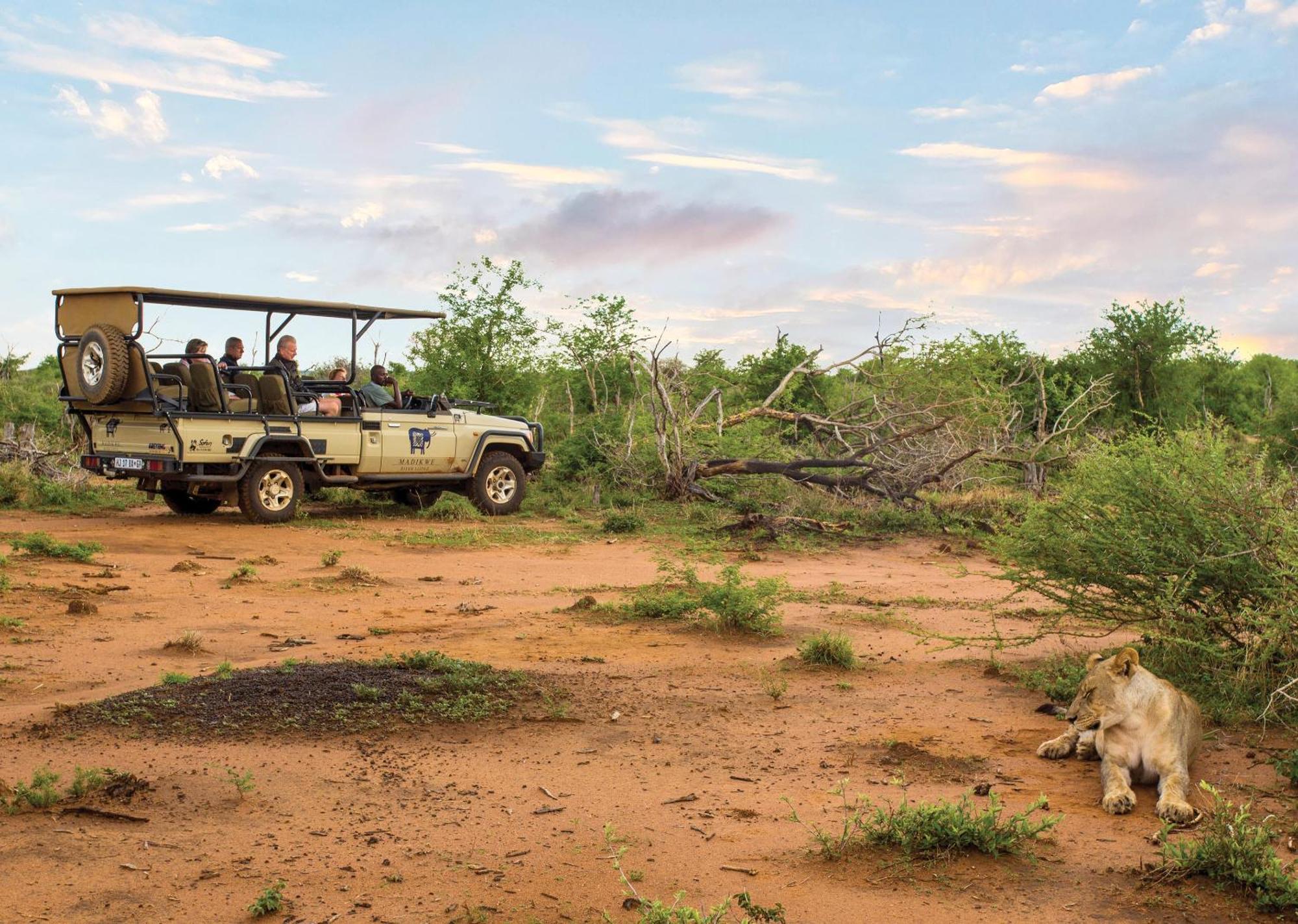 Madikwe River Lodge By Dream Resorts Madikwe Game Reserve Eksteriør billede