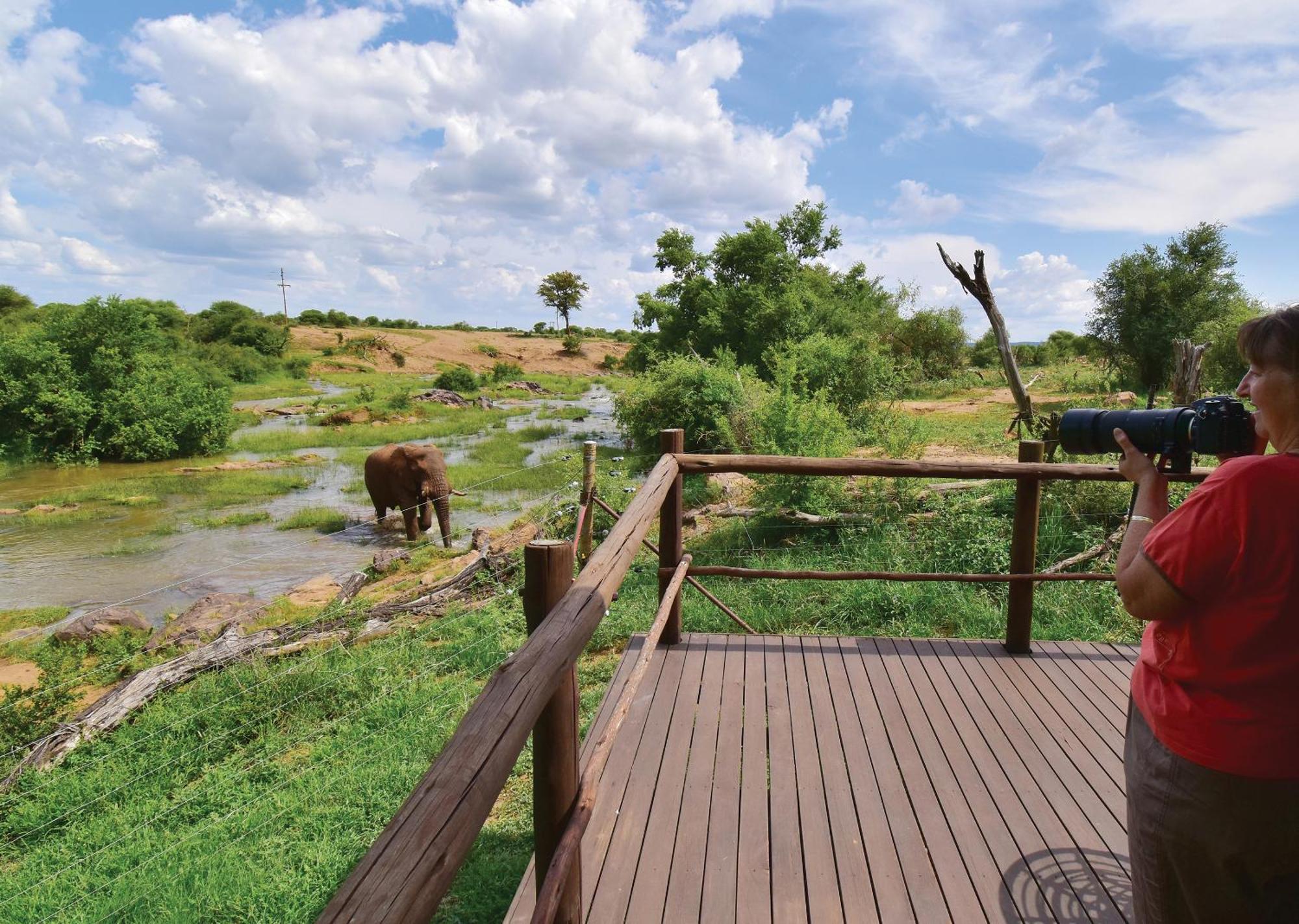Madikwe River Lodge By Dream Resorts Madikwe Game Reserve Værelse billede