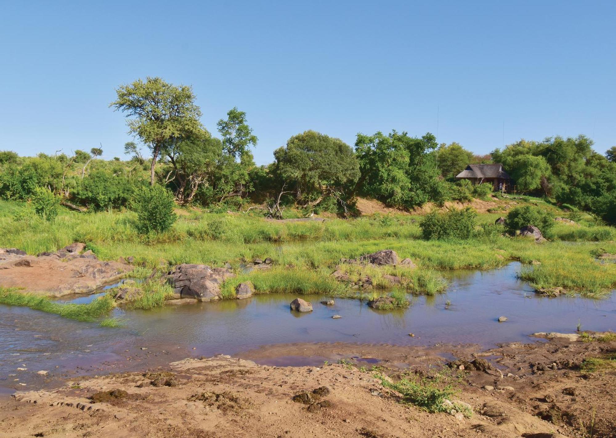 Madikwe River Lodge By Dream Resorts Madikwe Game Reserve Værelse billede