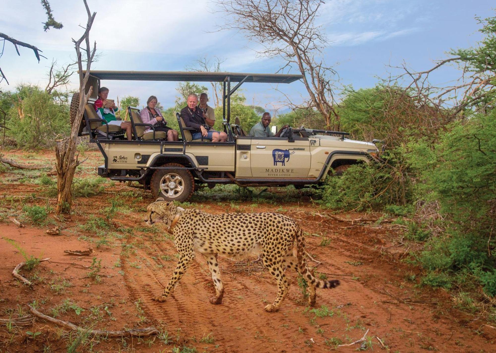 Madikwe River Lodge By Dream Resorts Madikwe Game Reserve Eksteriør billede